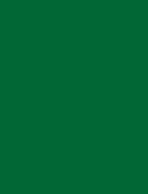 Green(as standard)